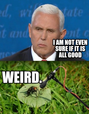 i-am-not-even-sure-if-it-is-all-good-weird