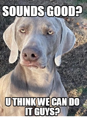sounds-good-u-think-we-can-do-it-guys