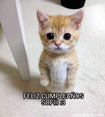 feliz-cumpleaos-sofiii-3
