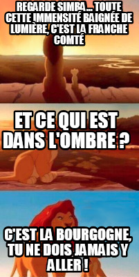 regarde-simba...-toute-cette-immensit-baigne-de-lumire-cest-la-franche-comt-cest