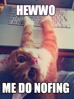 hewwo-me-do-nofing