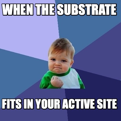 when-the-substrate-fits-in-your-active-site