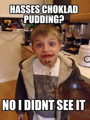hasses-choklad-pudding-no-i-didnt-see-it