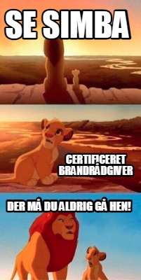 se-simba-der-m-du-aldrig-g-hen-certificeret-brandrdgiver