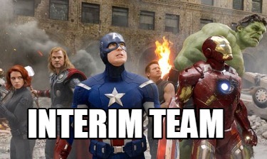 interim-team