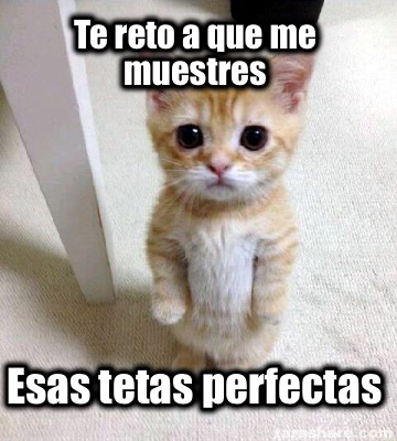 te-reto-a-que-me-muestres-esas-tetas-perfectas