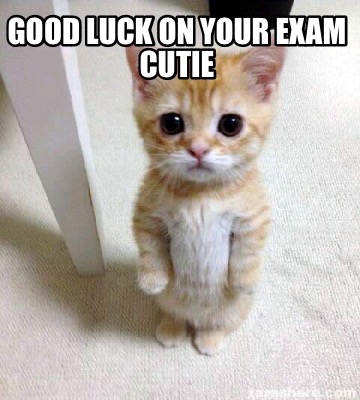 good-luck-on-your-exam-cutie