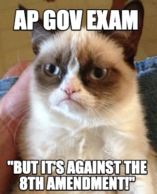 ap-gov-exam-but-its-against-the-8th-amendment