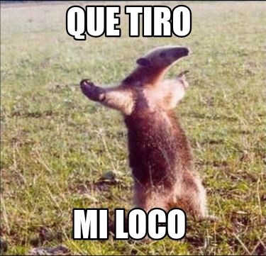 que-tiro-mi-loco