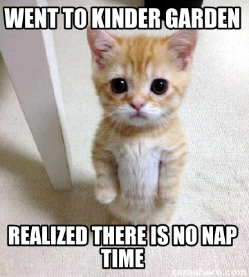 went-to-kinder-garden-realized-there-is-no-nap-time