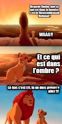 regarde-simba-tout-ce-qui-est-dans-la-lumire-cest-le-rassemblement-national-l-ba