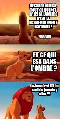 regarde-simba-tout-ce-qui-est-dans-la-lumire-cest-le-rassemblement-national-l-ba1