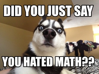 did-you-just-say-you-hated-math