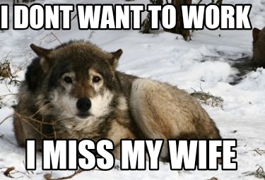 i-dont-want-to-work-i-miss-my-wife
