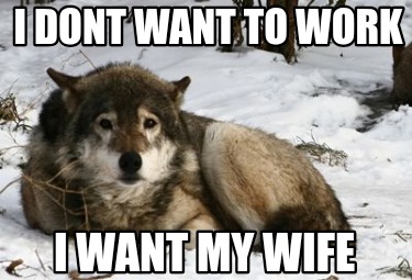 i-dont-want-to-work-i-want-my-wife2