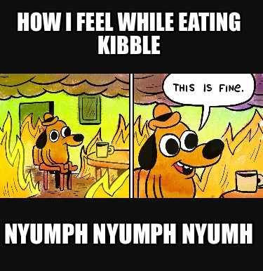 how-i-feel-while-eating-kibble-nyumph-nyumph-nyumh