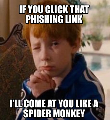 if-you-click-that-phishing-link-ill-come-at-you-like-a-spider-monkey