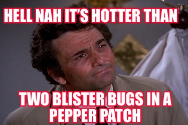 hell-nah-its-hotter-than-two-blister-bugs-in-a-pepper-patch