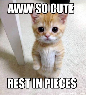 aww-so-cute-rest-in-pieces