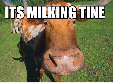 its-milking-tine