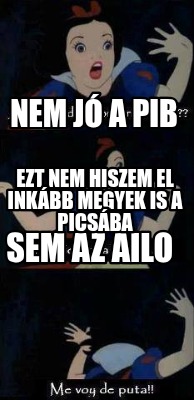 nem-j-a-pib-sem-az-ailo-ezt-nem-hiszem-el-inkbb-megyek-is-a-picsba