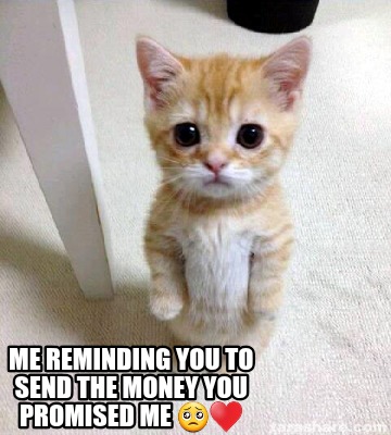 me-reminding-you-to-send-the-money-you-promised-me-