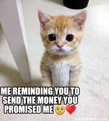 me-reminding-you-to-send-the-money-you-promised-me-4