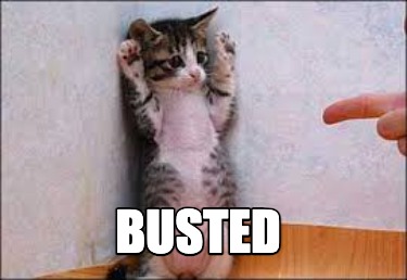 busted98