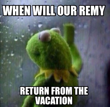 when-will-our-remy-return-from-the-vacation