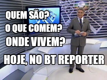 quem-so-hoje-no-bt-reporter-onde-vivem-o-que-comem