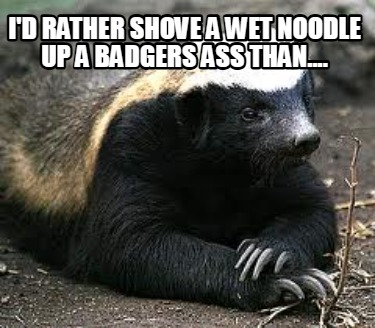 id-rather-shove-a-wet-noodle-up-a-badgers-ass-than