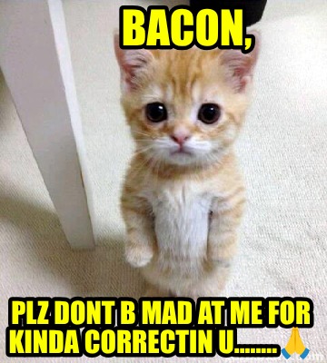 bacon-plz-dont-b-mad-at-me-for-kinda-correctin-u