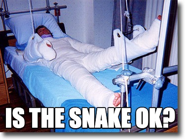 is-the-snake-ok