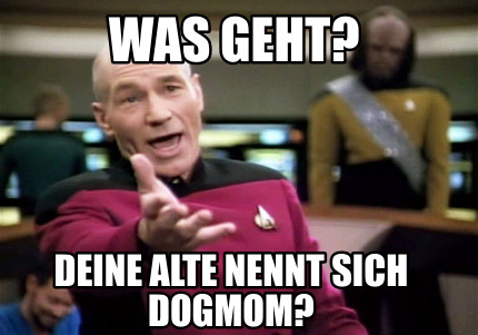 was-geht-deine-alte-nennt-sich-dogmom