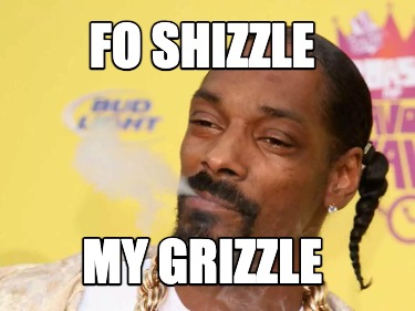 fo-shizzle-my-grizzle