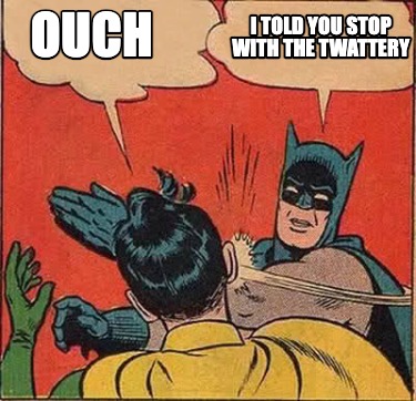 ouch-i-told-you-stop-with-the-twattery