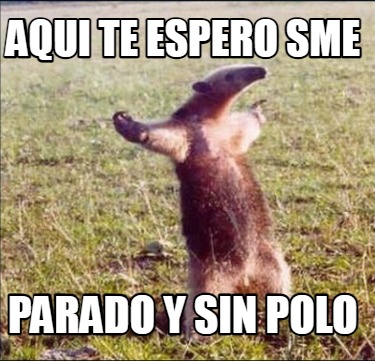 aqui-te-espero-sme-parado-y-sin-polo