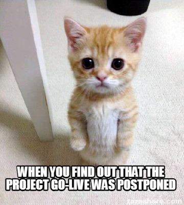 when-you-find-out-that-the-project-go-live-was-postponed