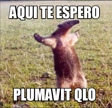 aqui-te-espero-plumavit-qlo