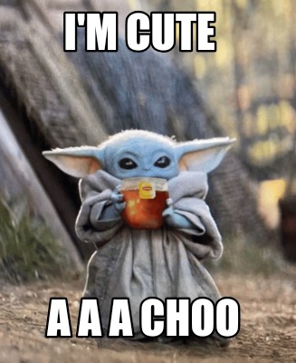 im-cute-a-a-a-choo