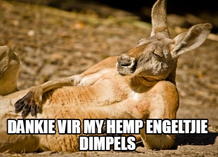 dankie-vir-my-hemp-engeltjie-dimpels