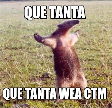 que-tanta-que-tanta-wea-ctm