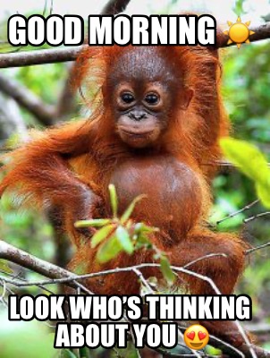 good-morning-look-whos-thinking-about-you-