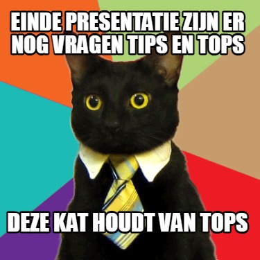 einde-presentatie-zijn-er-nog-vragen-tips-en-tops-deze-kat-houdt-van-tops