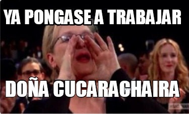 ya-pongase-a-trabajar-doa-cucarachaira