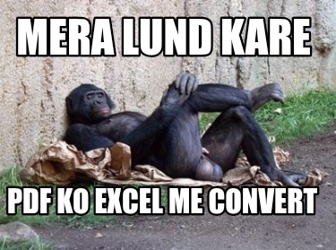 mera-lund-kare-pdf-ko-excel-me-convert