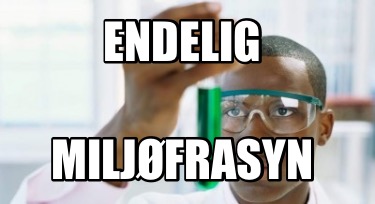 endelig-miljfrasyn