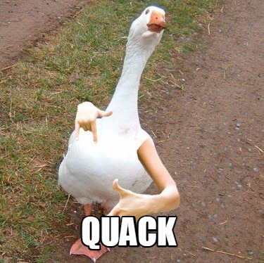 quack71