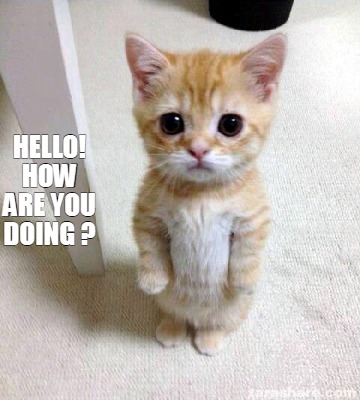 hello-how-are-you-doing-