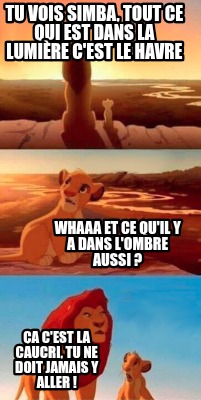 tu-vois-simba-tout-ce-qui-est-dans-la-lumire-cest-le-havre-whaaa-et-ce-quil-y-a-